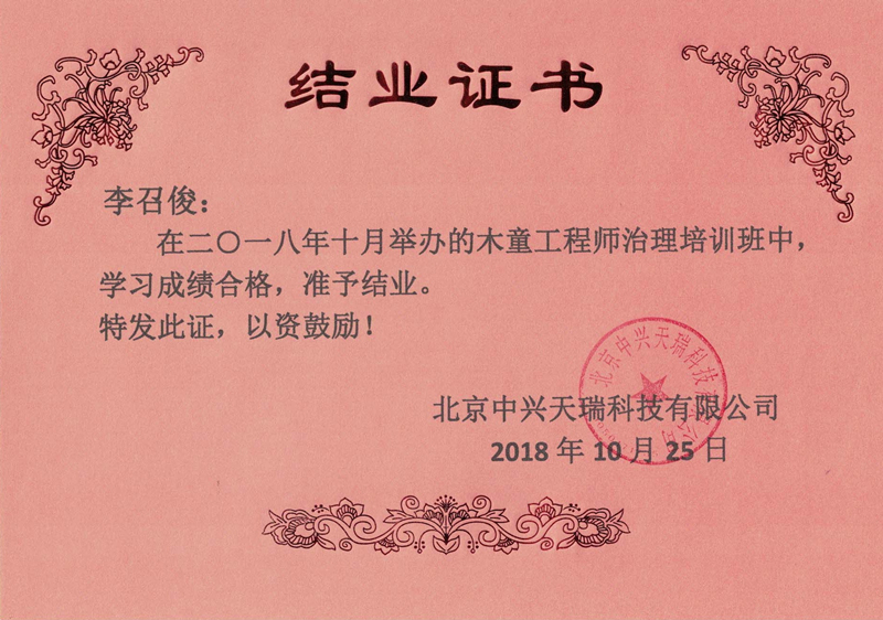 李召俊-木童工程師檢測與治理服務(wù)高級培訓證書.jpg